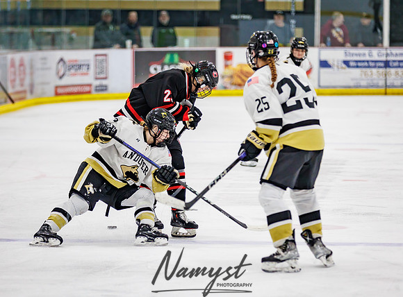 Centennial vs Andover Varsity Hockey 131