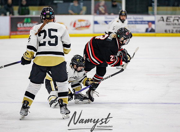 Centennial vs Andover Varsity Hockey 132
