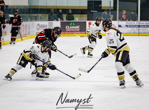 Centennial vs Andover Varsity Hockey 130