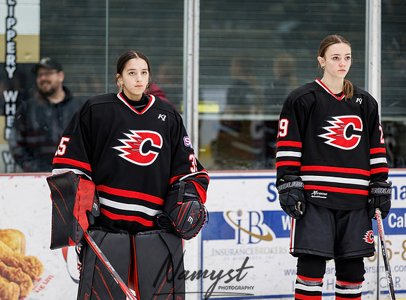 Centennial vs Andover Varsity Hockey 14