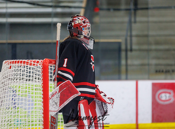 Centennial vs Andover Varsity Hockey 145