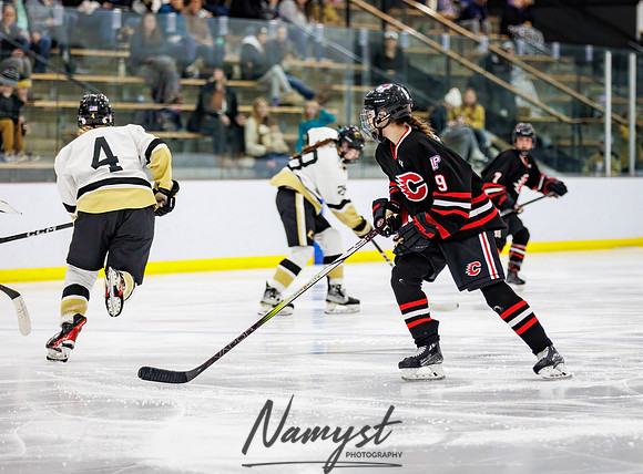 Centennial vs Andover Varsity Hockey 148