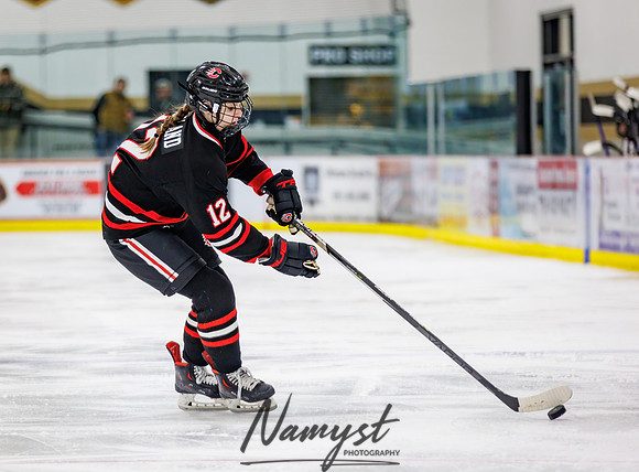 Centennial vs Andover Varsity Hockey 154
