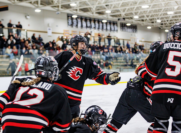 Centennial vs Andover Varsity Hockey 163