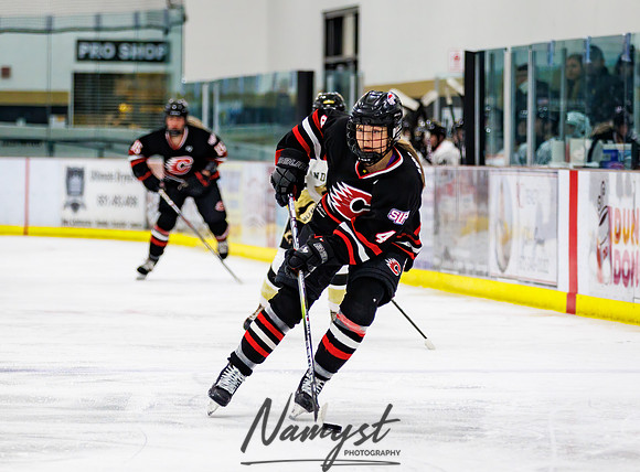 Centennial vs Andover Varsity Hockey 176