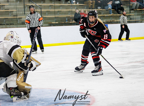 Centennial vs Andover Varsity Hockey 177