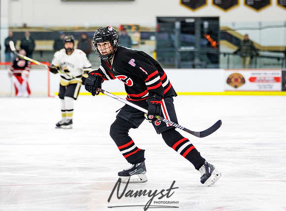 Centennial vs Andover Varsity Hockey 188