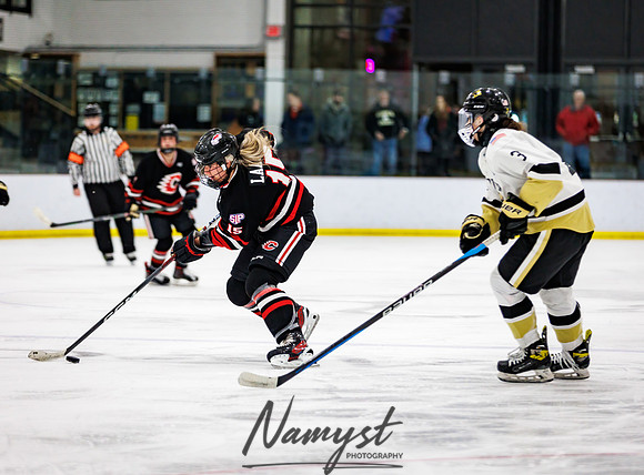 Centennial vs Andover Varsity Hockey 189