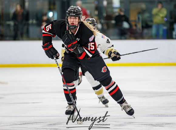 Centennial vs Andover Varsity Hockey 193