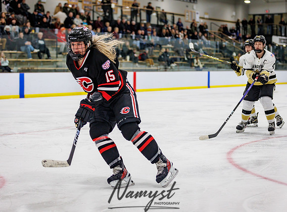 Centennial vs Andover Varsity Hockey 195