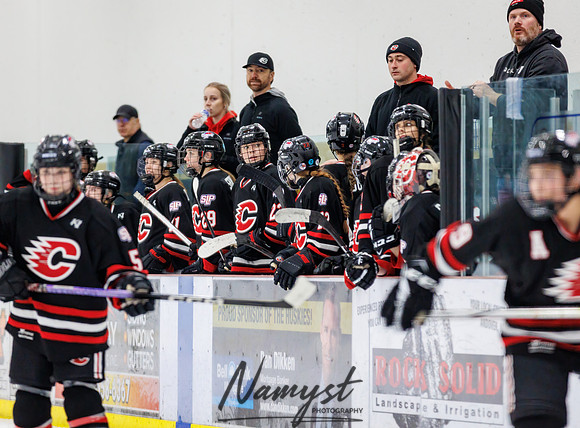 Centennial vs Andover Varsity Hockey 198
