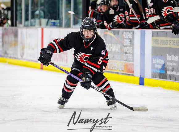 Centennial vs Andover Varsity Hockey 199