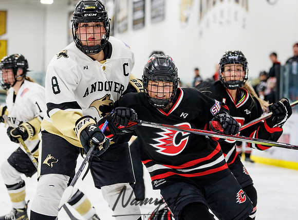 Centennial vs Andover Varsity Hockey 204