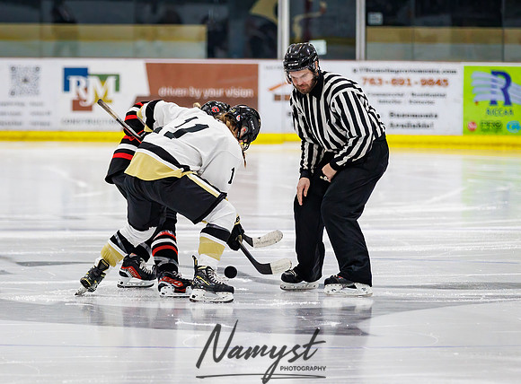 Centennial vs Andover Varsity Hockey 209