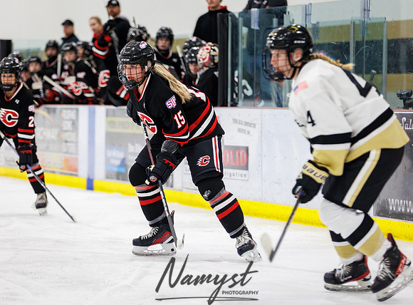Centennial vs Andover Varsity Hockey 208
