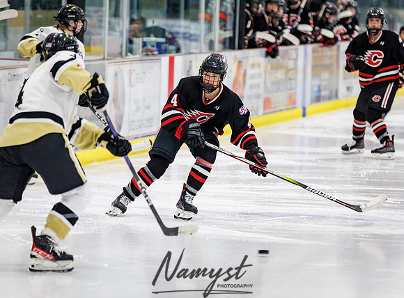 Centennial vs Andover Varsity Hockey 212