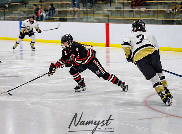 Centennial vs Andover Varsity Hockey 214