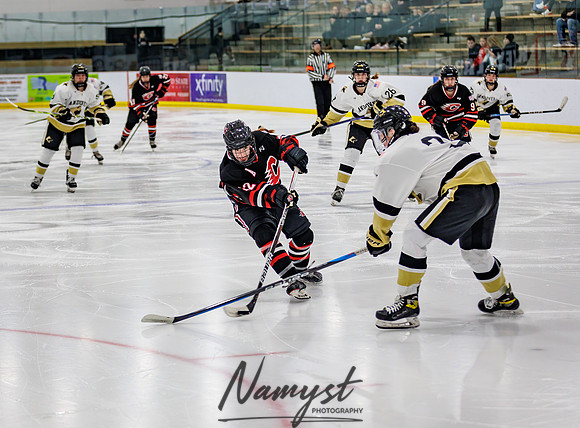 Centennial vs Andover Varsity Hockey 216