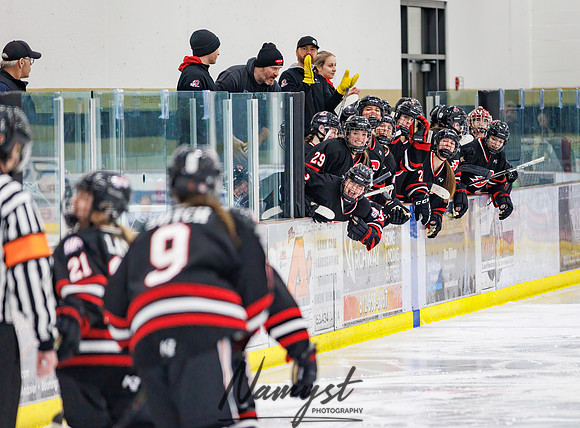 Centennial vs Andover Varsity Hockey 220