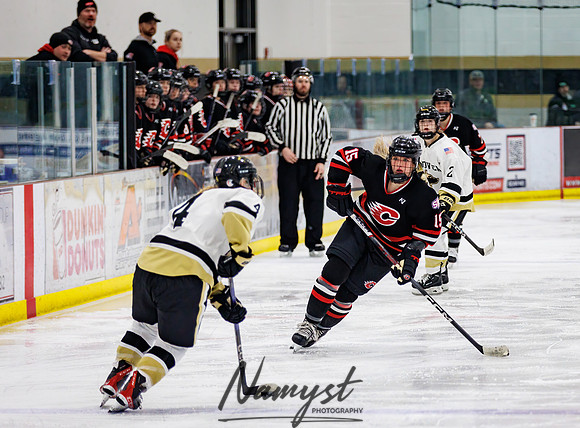 Centennial vs Andover Varsity Hockey 225