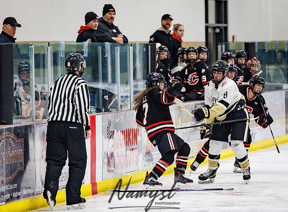 Centennial vs Andover Varsity Hockey 231