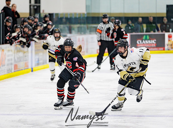 Centennial vs Andover Varsity Hockey 235