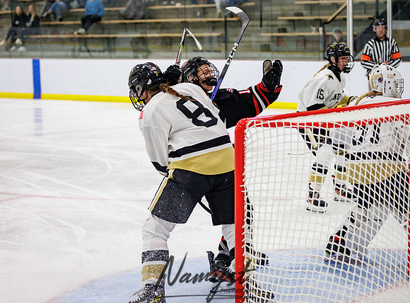 Centennial vs Andover Varsity Hockey 237