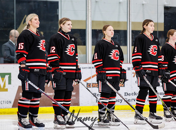 Centennial vs Andover Varsity Hockey 24