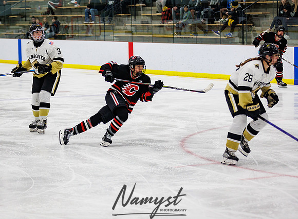 Centennial vs Andover Varsity Hockey 240