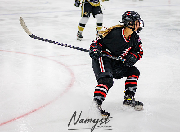 Centennial vs Andover Varsity Hockey 244