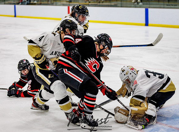 Centennial vs Andover Varsity Hockey 247