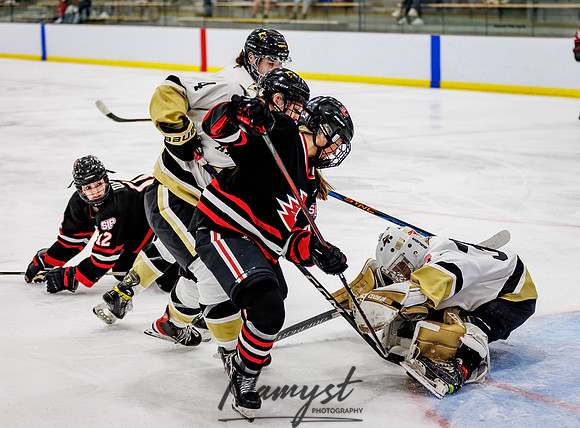 Centennial vs Andover Varsity Hockey 248