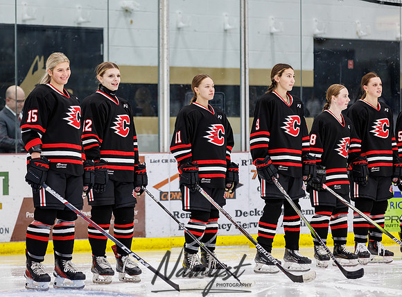 Centennial vs Andover Varsity Hockey 25