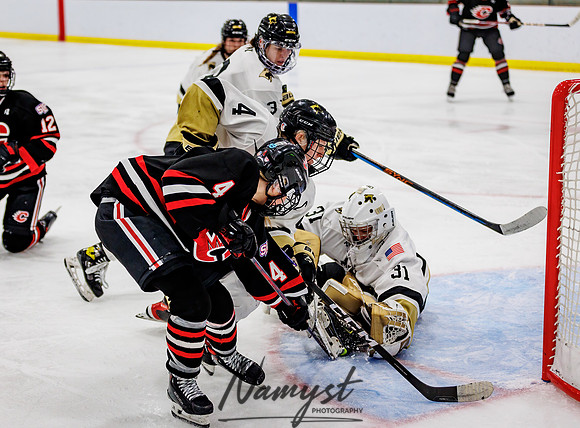 Centennial vs Andover Varsity Hockey 251