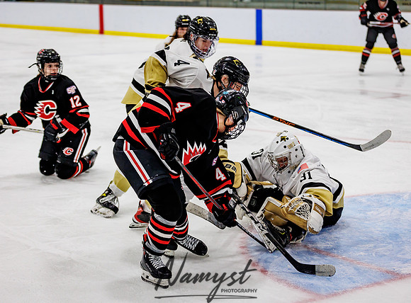 Centennial vs Andover Varsity Hockey 250