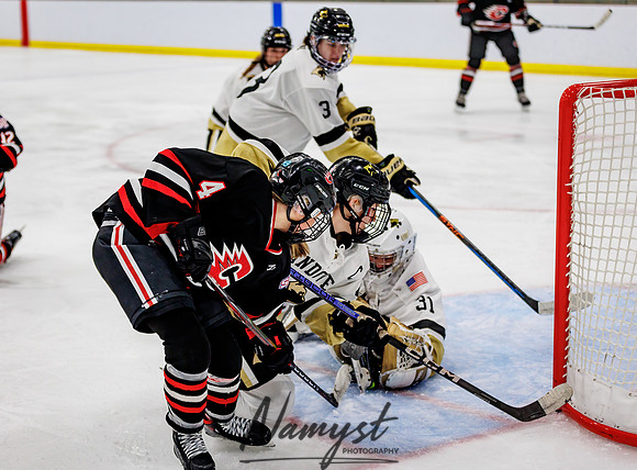 Centennial vs Andover Varsity Hockey 252