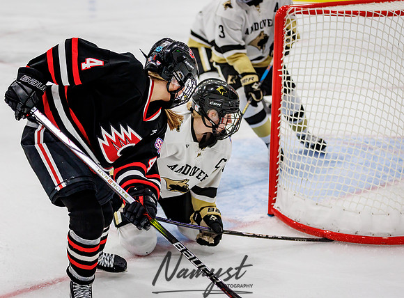 Centennial vs Andover Varsity Hockey 254