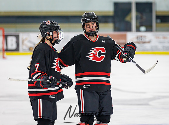 Centennial vs Andover Varsity Hockey 257