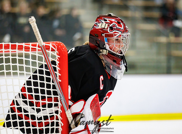Centennial vs Andover Varsity Hockey 264