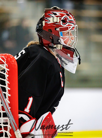 Centennial vs Andover Varsity Hockey 265
