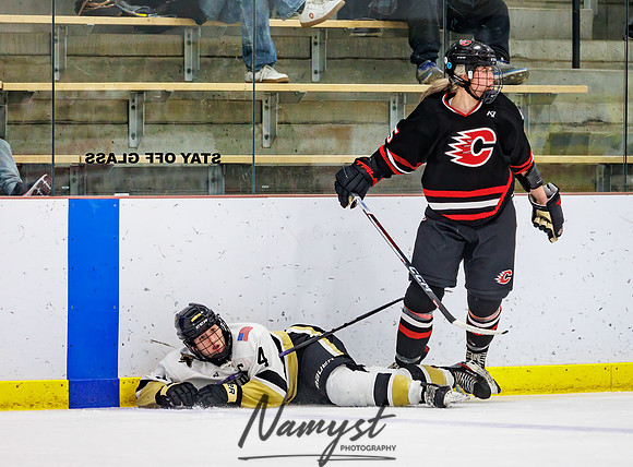 Centennial vs Andover Varsity Hockey 270