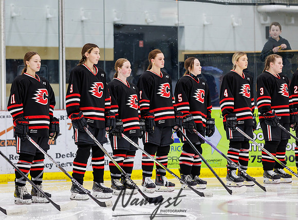 Centennial vs Andover Varsity Hockey 27