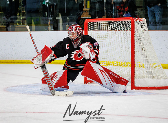 Centennial vs Andover Varsity Hockey 272
