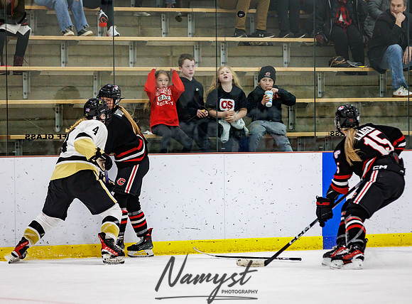 Centennial vs Andover Varsity Hockey 278