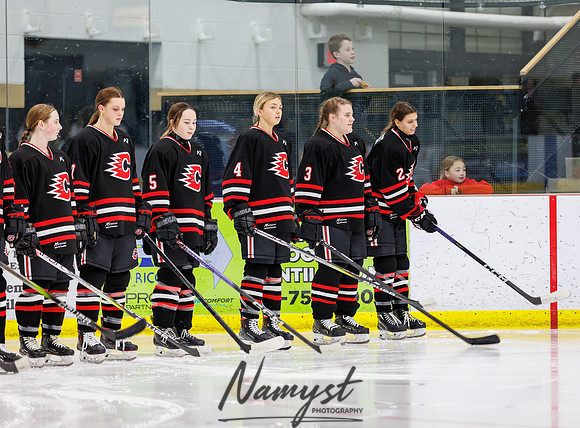 Centennial vs Andover Varsity Hockey 31