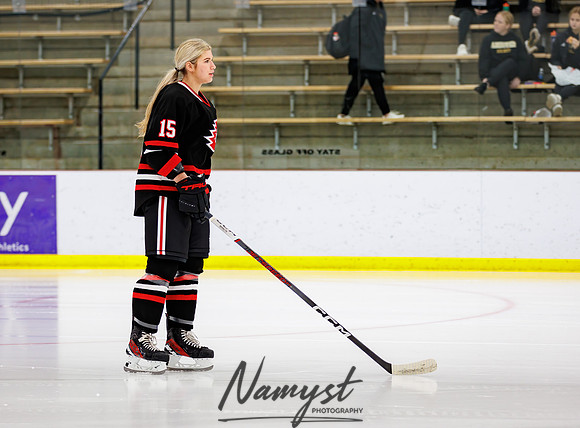 Centennial vs Andover Varsity Hockey 38