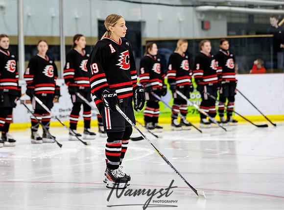 Centennial vs Andover Varsity Hockey 39