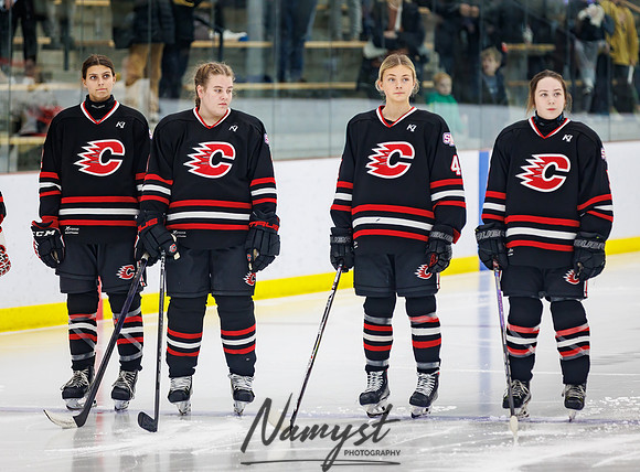 Centennial vs Andover Varsity Hockey 45