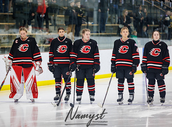 Centennial vs Andover Varsity Hockey 44