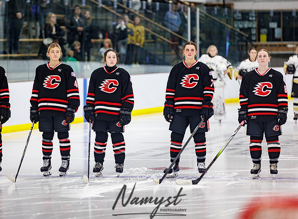 Centennial vs Andover Varsity Hockey 46